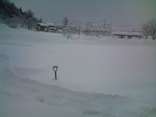 本日は大雪のため臨時休校