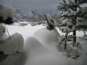 Photo_2
